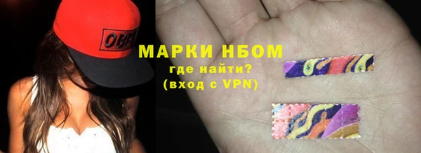 гашик Инсар