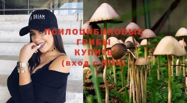мяу мяу мука Белоозёрский