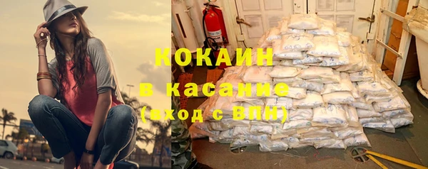 шишки Инта