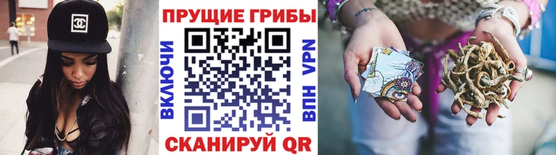 Псилоцибиновые грибы мицелий  Красный Кут 